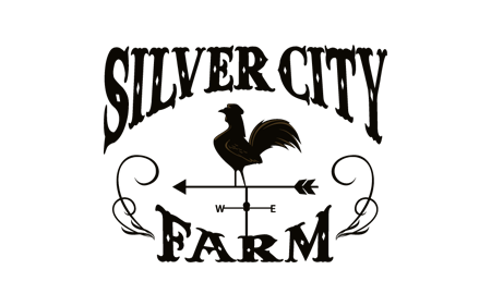 silver city-logo-homepage events