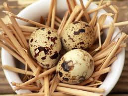 quail-eggs2